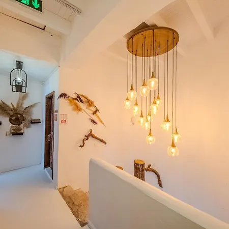 B House Hotel